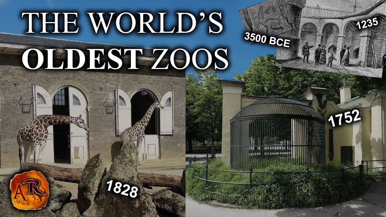 How Long Have Zoos Been Around?
