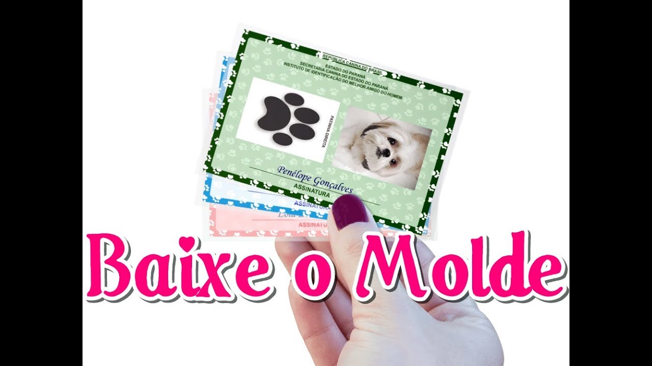 Como fazer RG para animais