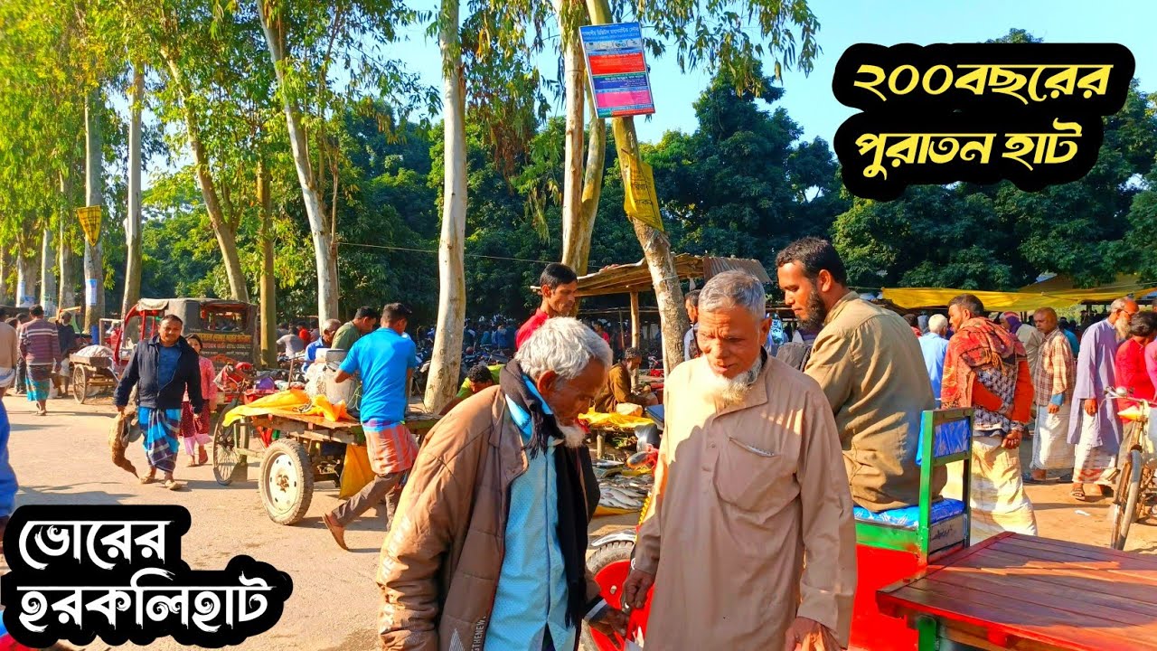 ঐতিহ্যবাহী ভোরবেলার হাট| Harkoli Haat|Traditional village market of Bangladesh