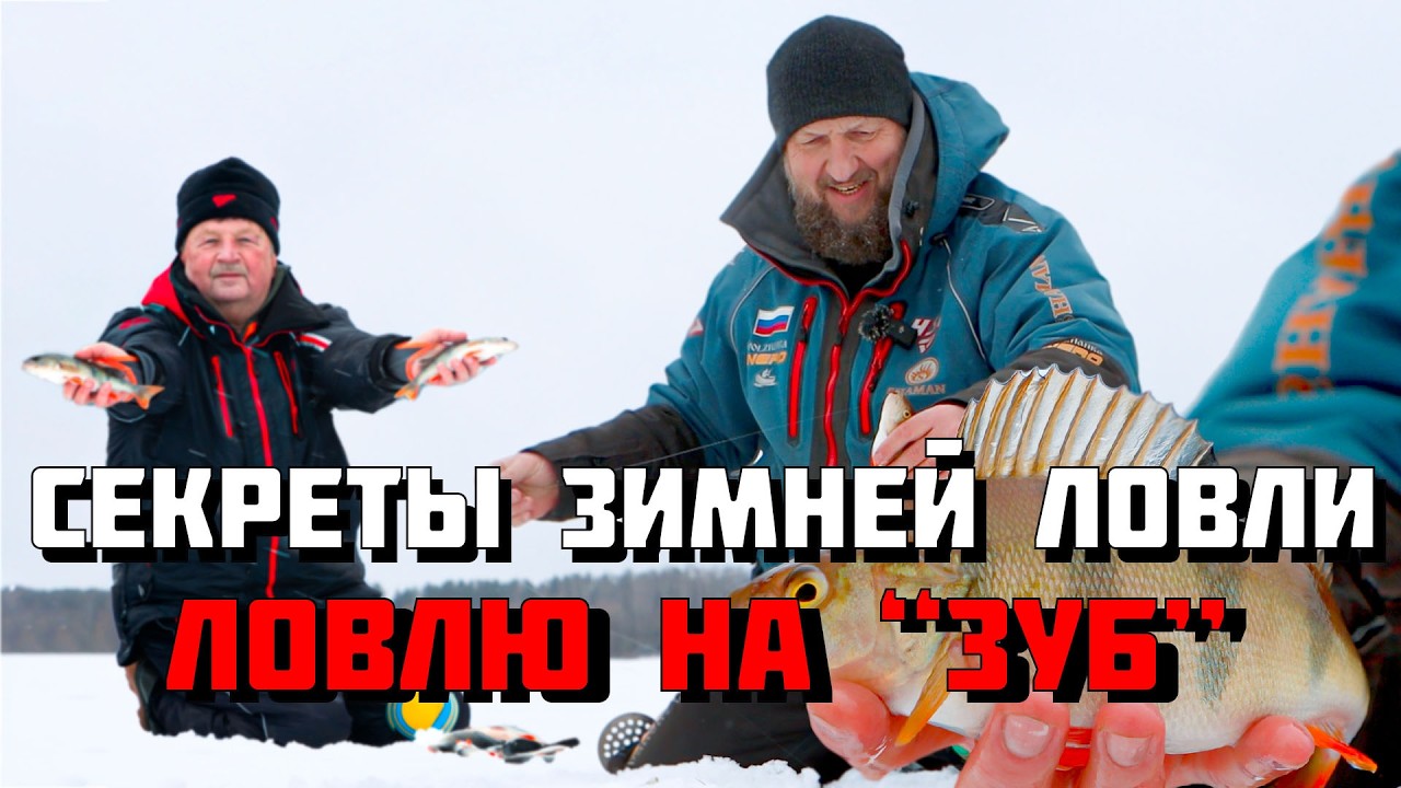 НА ЧТО ЗИМОЙ КЛЮЁТ ЛУЧШЕ? КАКУЮ СНАСТЬ ВЫБРАТЬ? ДАВАЙТЕ РАЗБИРАТЬСЯ!