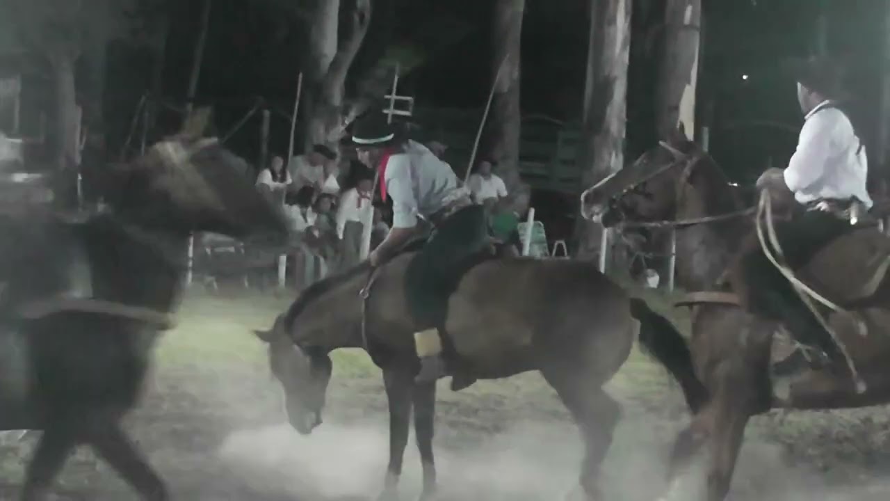 jineteada Nocturna en a Rural de Sauce Ctes. Organizada por Nito Mmlina #caballos #jinete #charreada