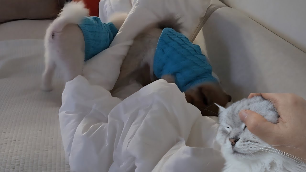 산만함에 견주는 인내심의 한계가 왔다. 차라리 나가서 살아야지... 