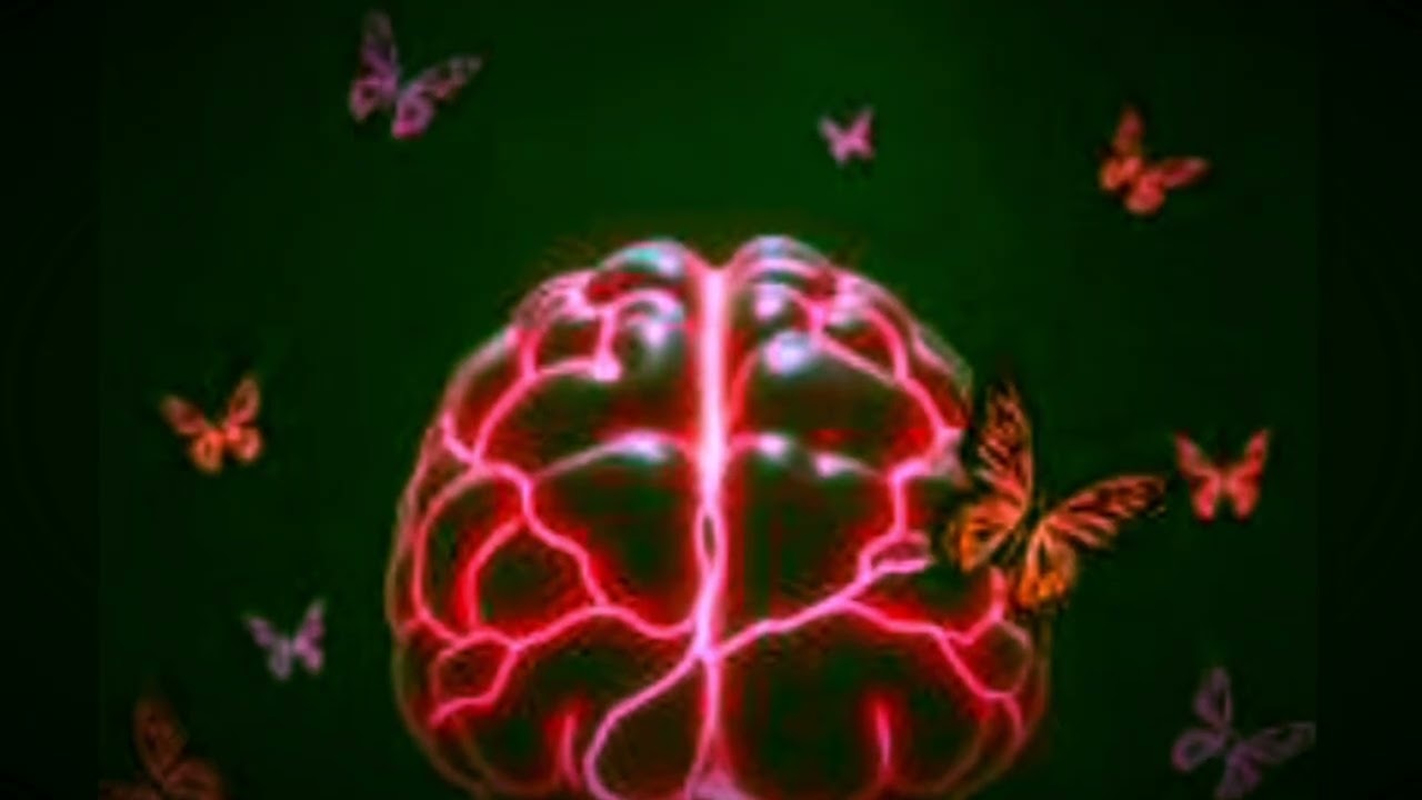 NeurO Fly Zone (neuro ambient fusion)