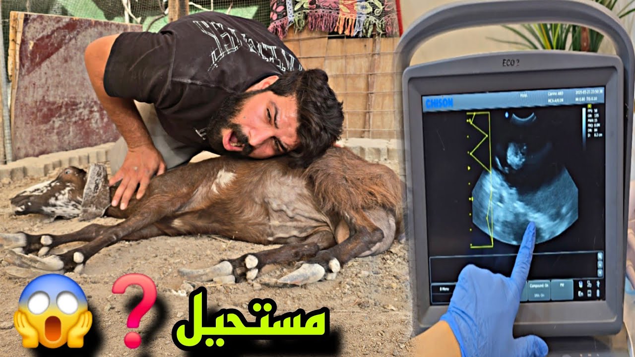 الحظات الأخيرة قبل وقوع الخطر… أسعيده تواجه المصير!