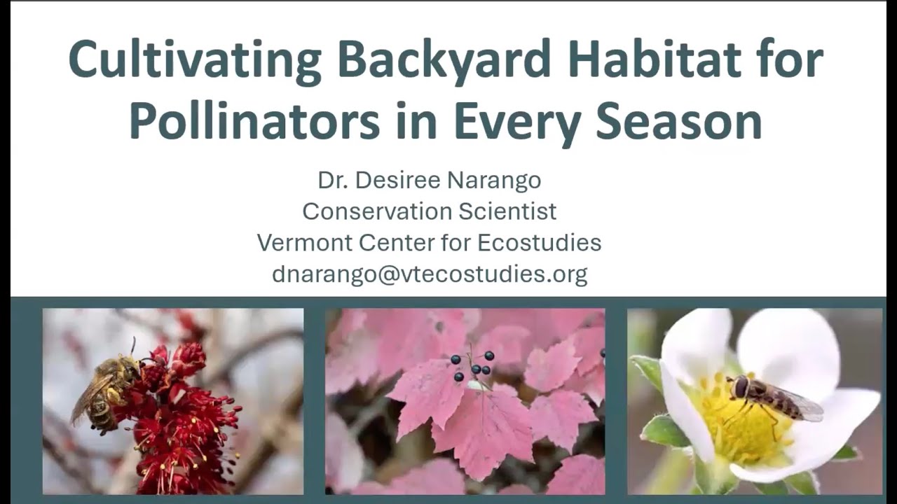 Cultivating Backyard Habitat for Pollinators in Every Season With Desiree Narango