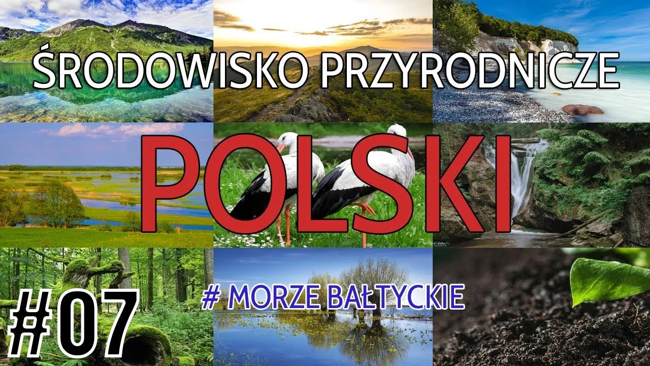 #07 Morze Bałtyckie (GEOGRAFIA POLSKI)