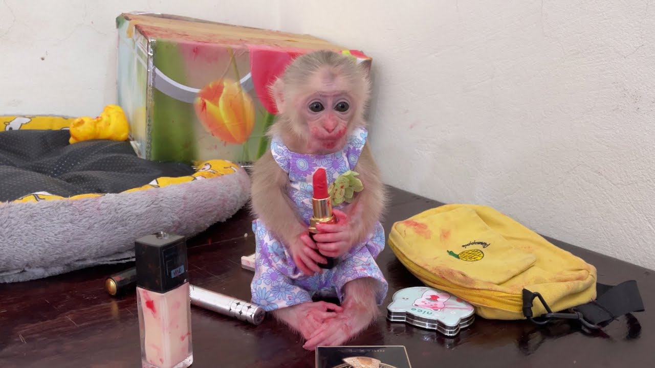 super funny! Monkey Abi plays with mom makeup