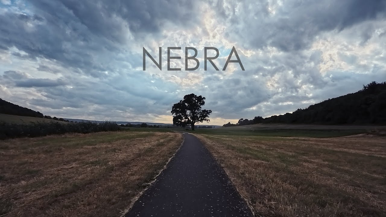 Nebra - There is Something in the Woods