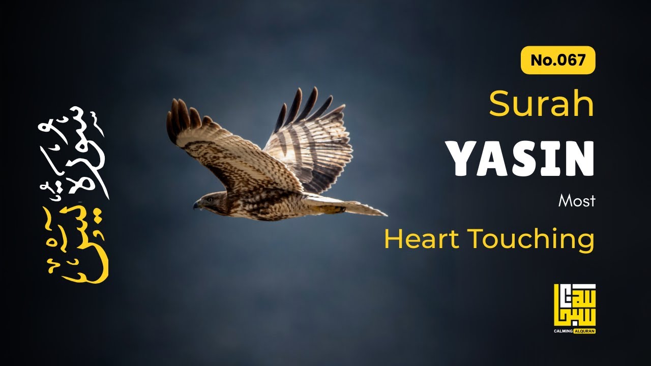 Surah Yasin (Yaseen) سورة يس ✦ Heart-Touching Recitation ✦ Soothing Qur'an Before Bed
