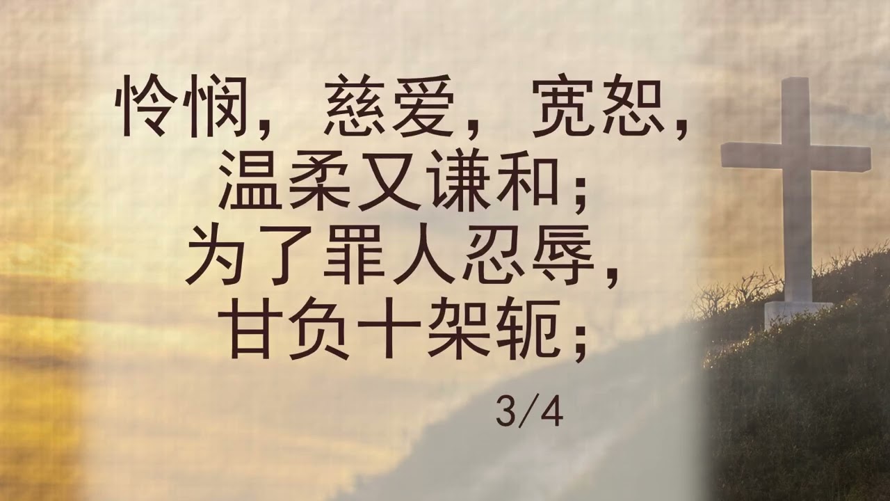 选本诗歌 第33首 怜悯慈爱宽恕