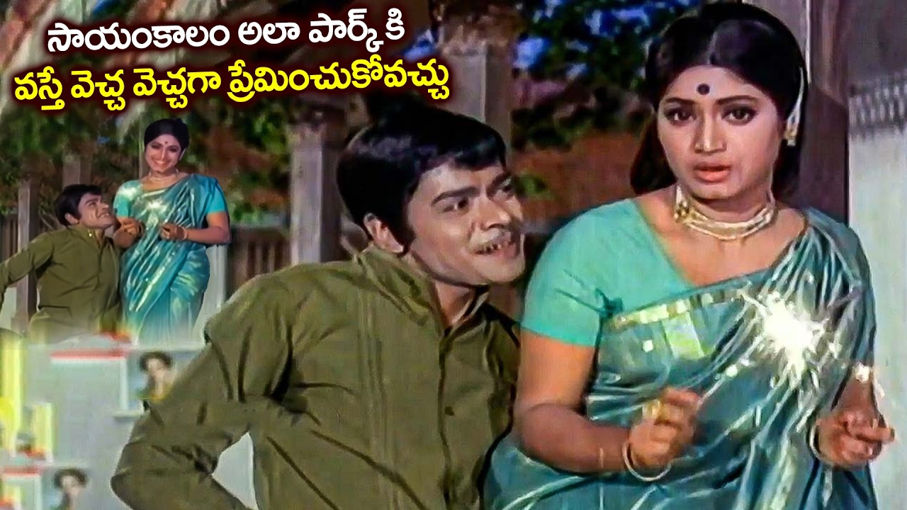 సాయంకాలం అలా పార్క్ కి వస్తే..| Raja Babu And Rama Prabha Love Scene | ANR & Vanisri Superhit Movie