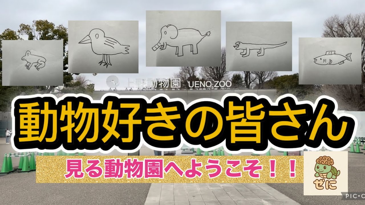 動物の力で疲れた心に癒しを、、、
