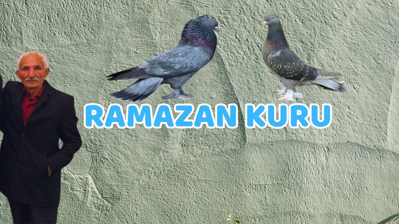 Alan İyi Kuş Alır Altı Üstü Tutmuş Kuşlar Yıların Kuşçusu Ramazan Kuru