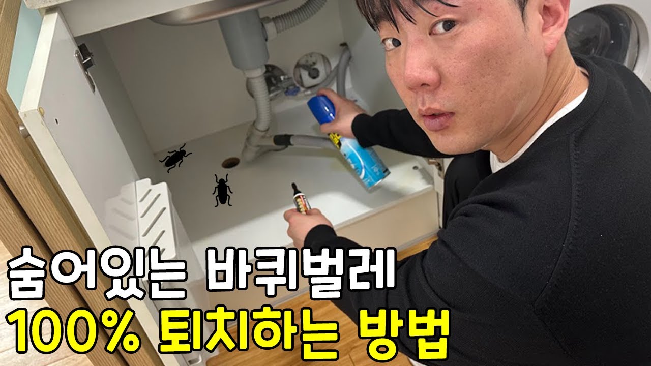 5분안에 바퀴벌레 100% 박멸하는 방법