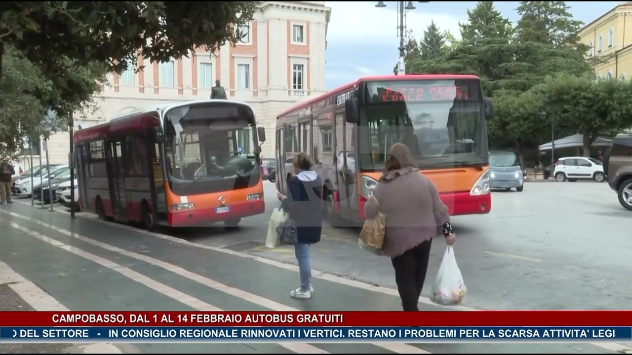 TG NEWS MOLISE DEL 24.01.26 - TRSP -