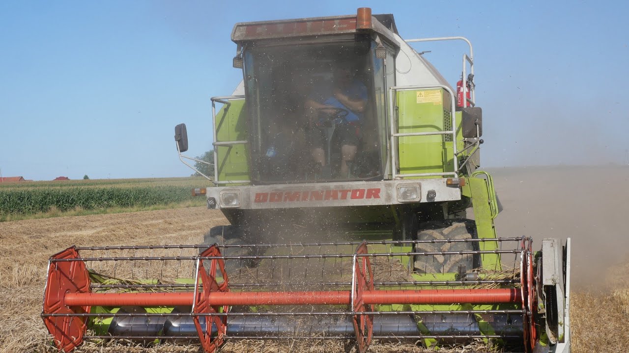 🇵🇱Ostatnie żniwa zbożowe 2025 - Pszenica Oścista 🇵🇱 Claas Dominator 98 & fendt 718 & 516🔥Agro michu😄