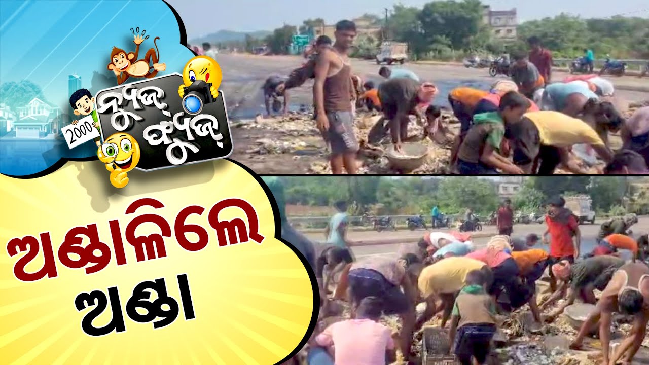 News Fuse 24 JUNE 2024