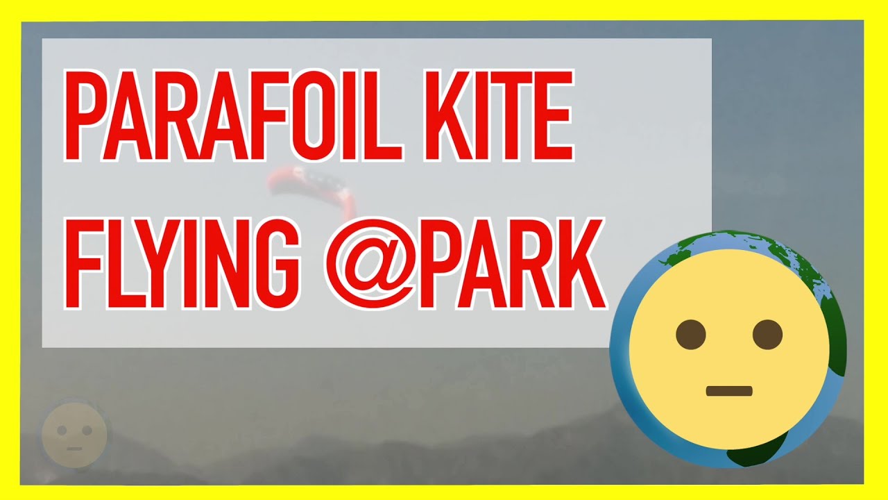 Large Parafoil Shape Power Kite Design w/o Tail Flying on Long String Line in Sky at Park | MySuLonE