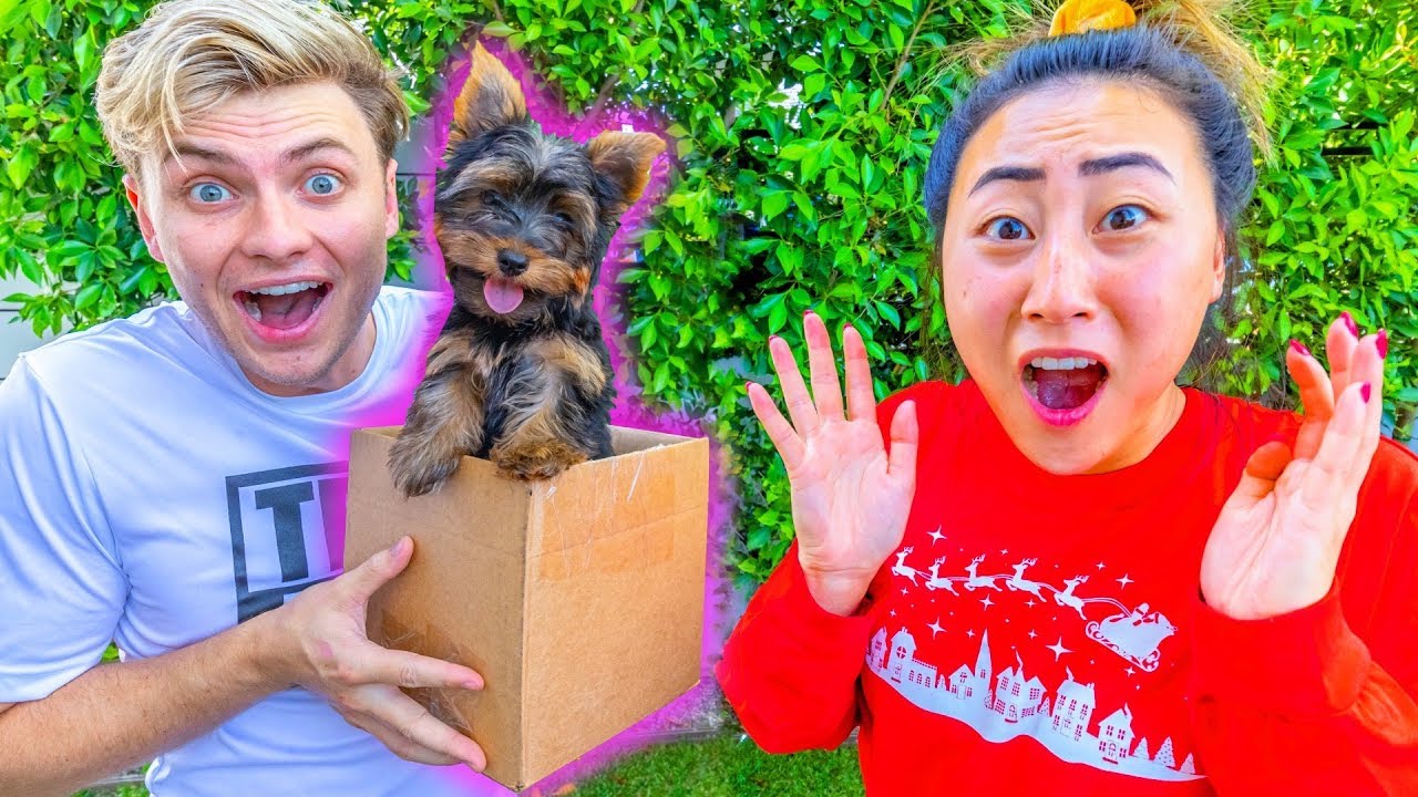 BOYFRIEND SURPRISES ME WITH A PUPPY!!