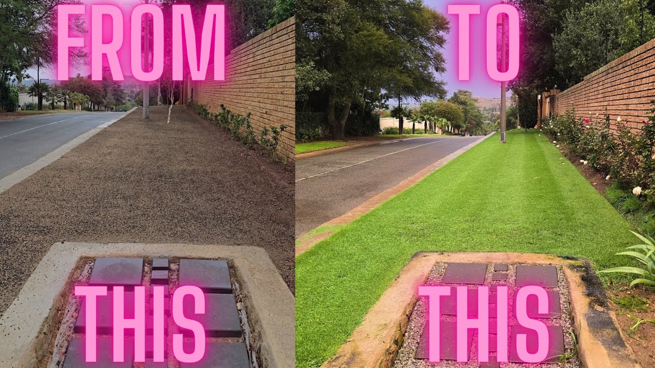 Seeding a NEW Lawn