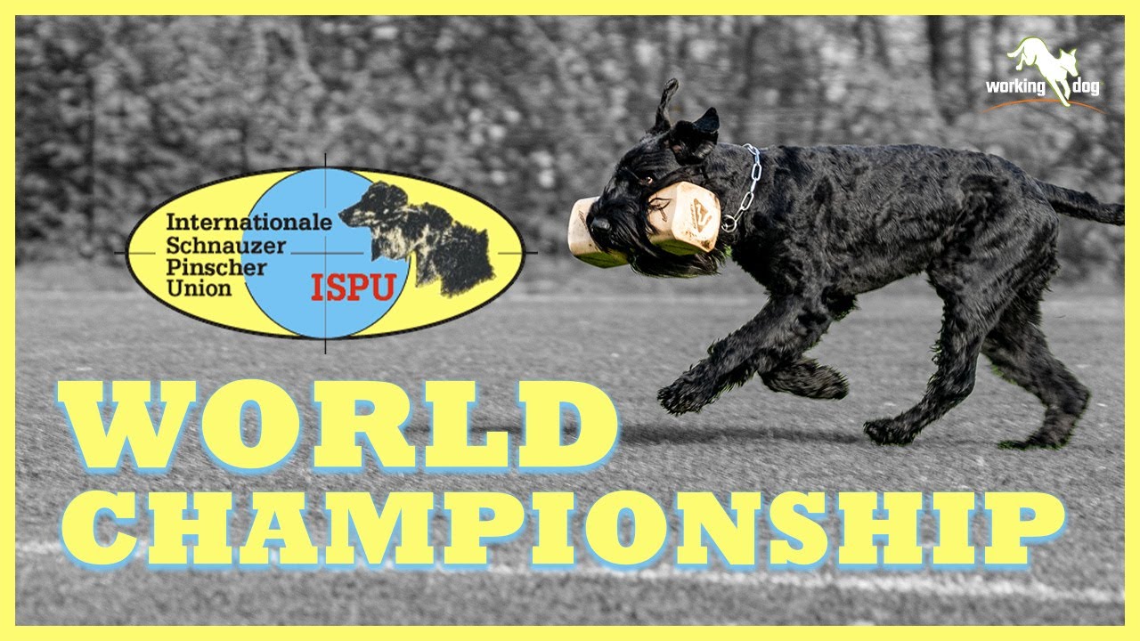 ISPU World Championship IGP 2022 // Winner