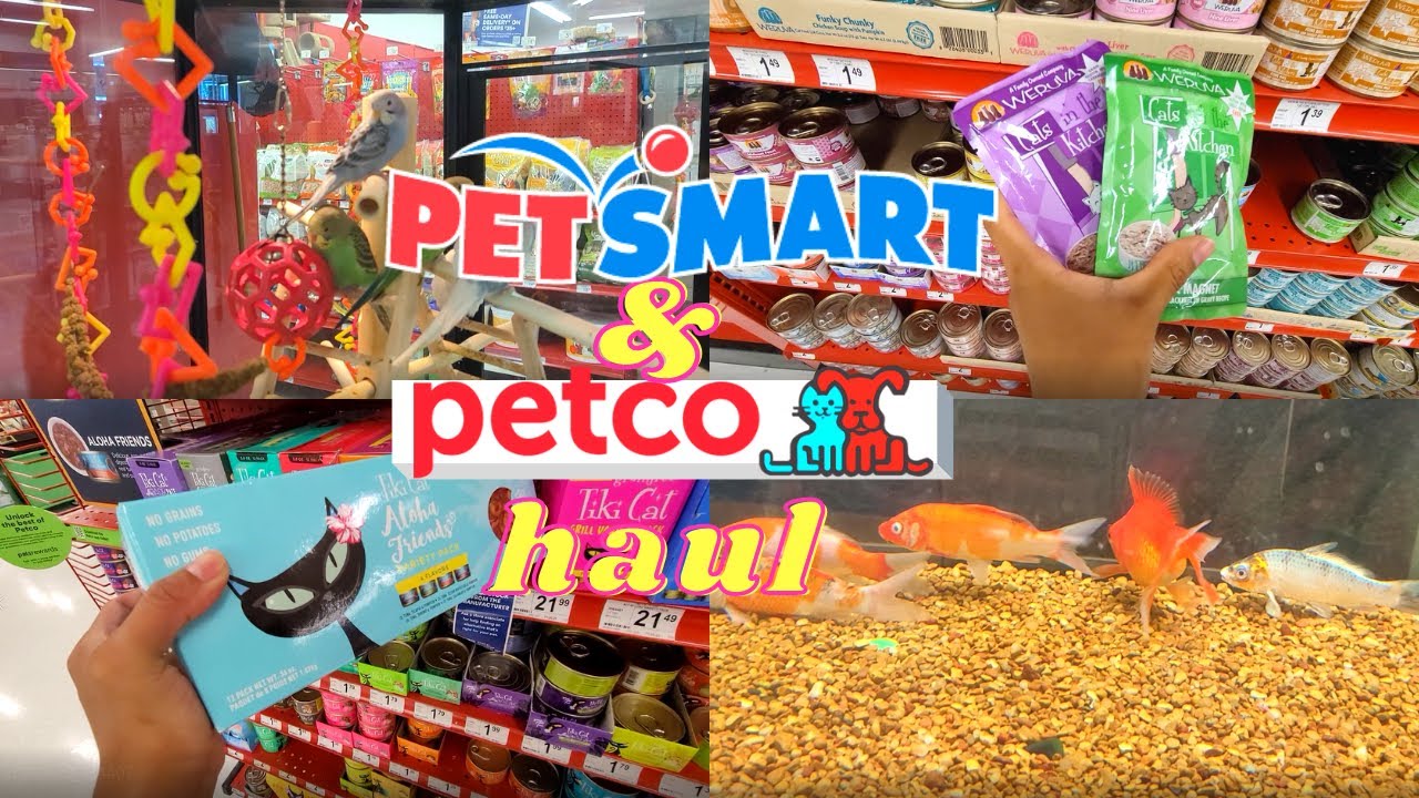 Monthly PetSmart & Petco Haul 2021 / 3 Day Trip / Cat Food Haul Stock Up *new cat food & treats*