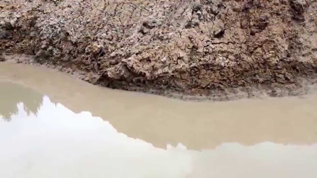 Откачка воды из пруда/глиняного карьера