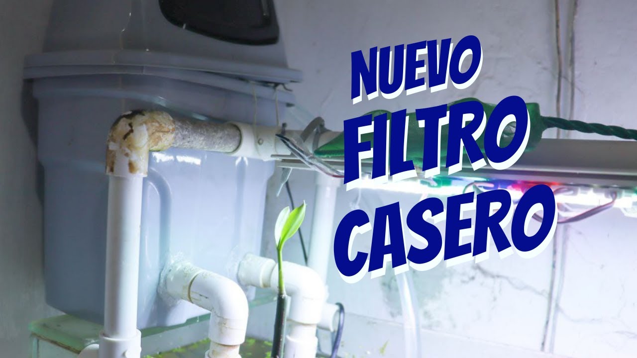 Nuevo filtro casero a mi acuario🐠🌱  #acuariofilia