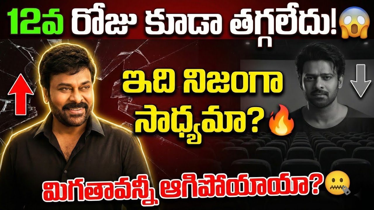 Mana Shankara Vara Prasad Gaaru Box Office Collection 🔥 | Chiranjeevi | MSVPG 12 Day Collections