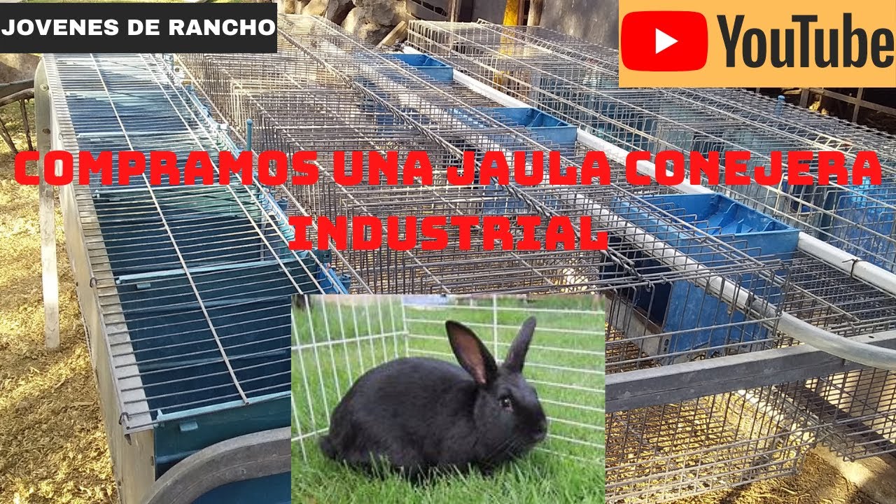 Una compra mas para el rancho- jóvenes de rancho
