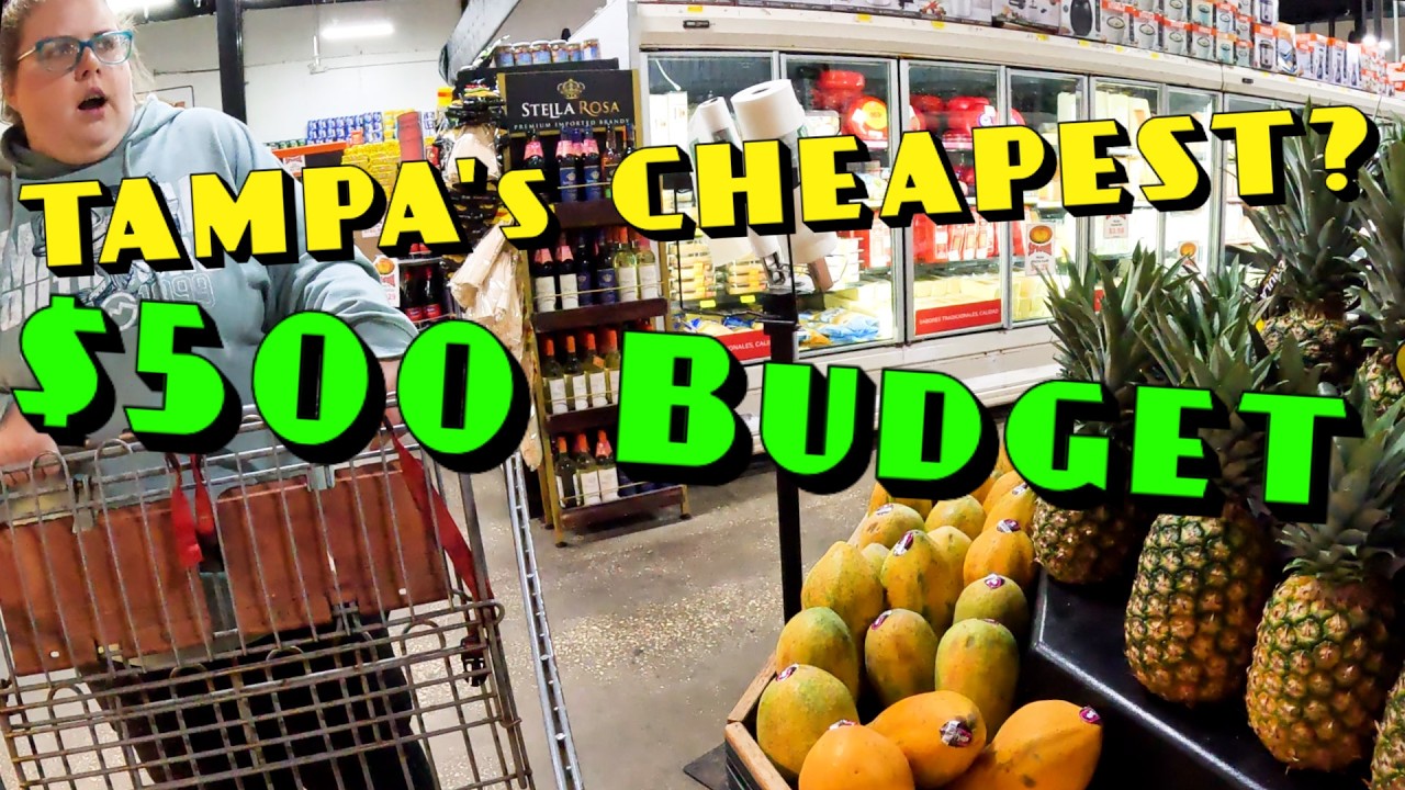 Trying To Find The Cheapest Grocery Stores In Tampa! $500 Monthly Budget Inflation Challenge 🍍