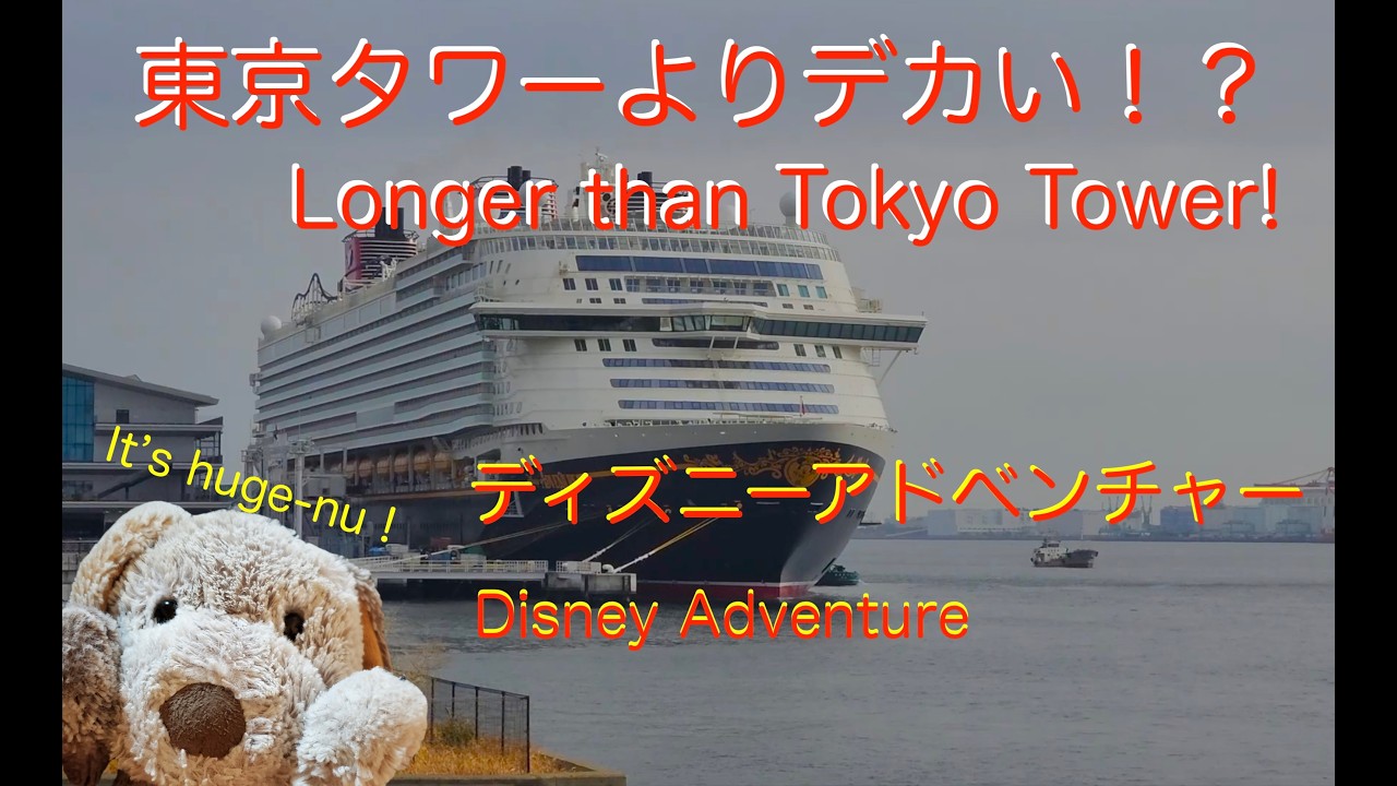 【ぬい散歩】一度きりの日本！巨大客船ディズニー・アドベンチャーを目撃！お台場の未来を巡るINU散歩🐶 🚢✨