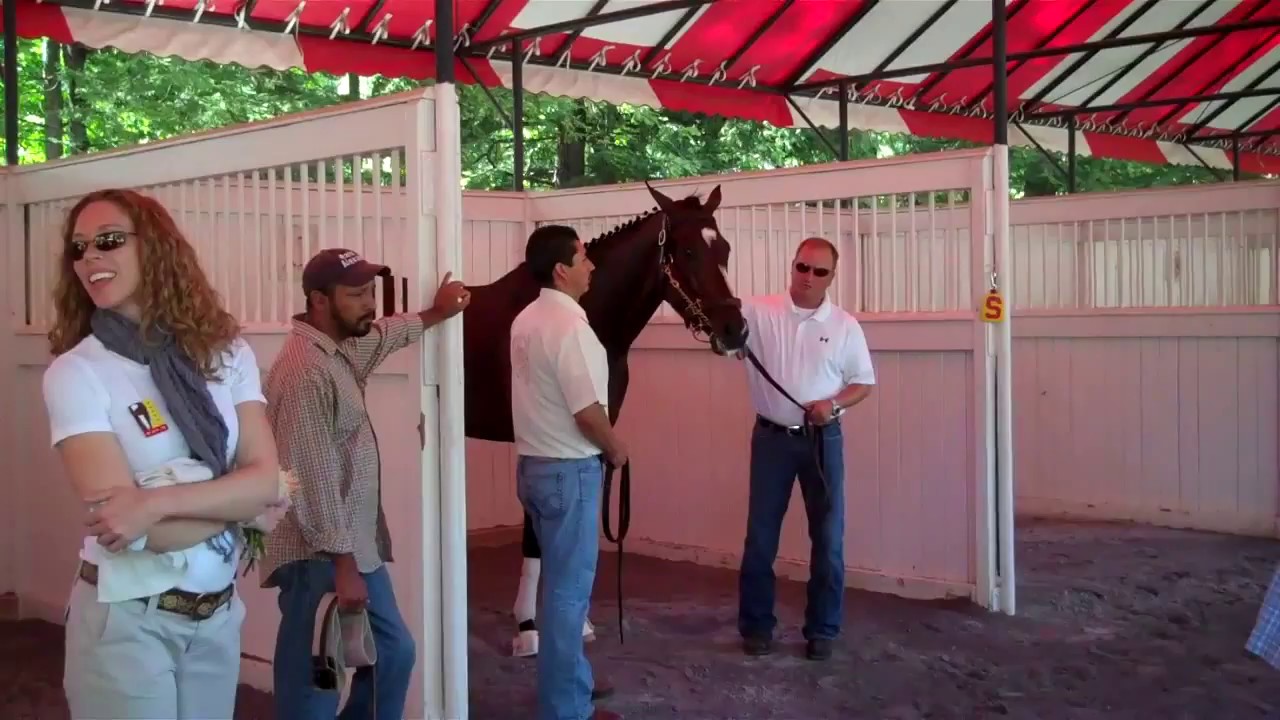 Rachel Alexandra journeys to school in the Saratoga Paddock