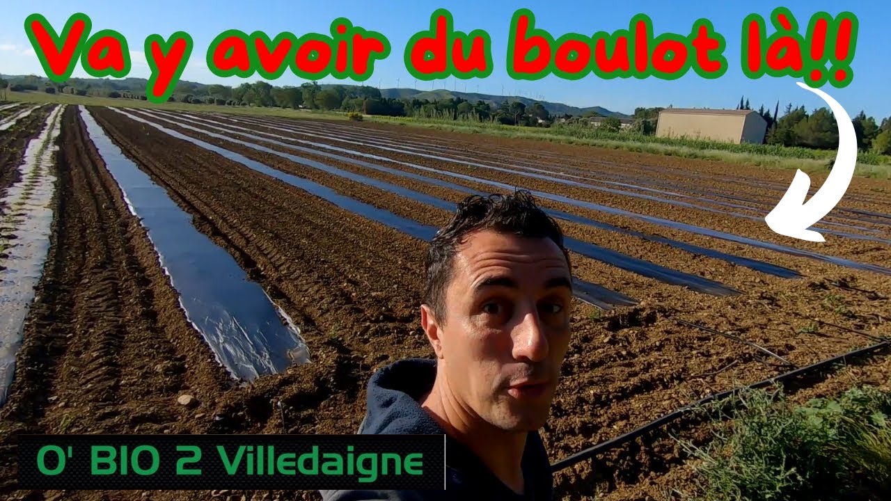 Paillage, Binage, Melon et Desherbage Manuel des pommes de terre, SEMAINE Entretien