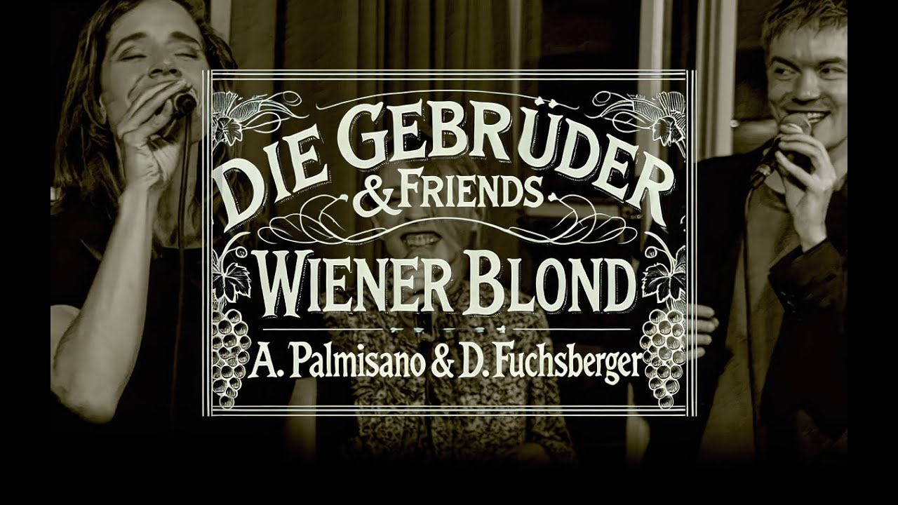 die gebrüder & friends + wiener blond + a. palmisano & d. fuchsberger, ausschnitt 23.5.2025, orf III