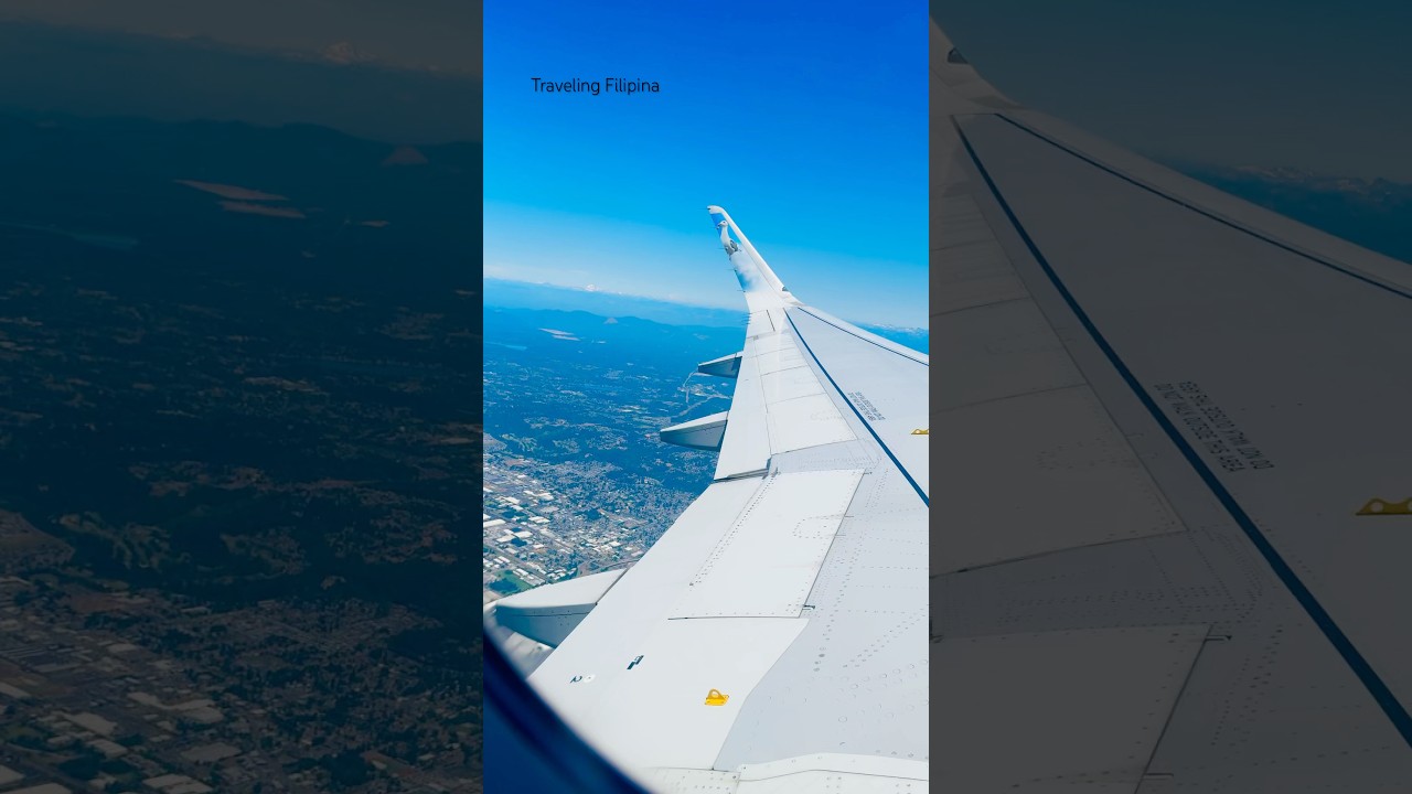Airplane window seat view!  #windowseatviews #airplane #airplaneview #shorts