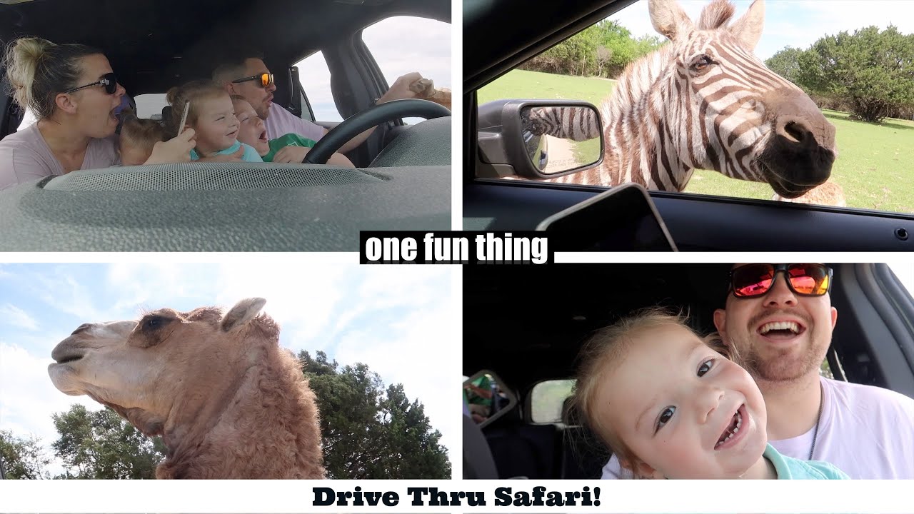 Drive Thru Safari! (Topsey Exotic Ranch)