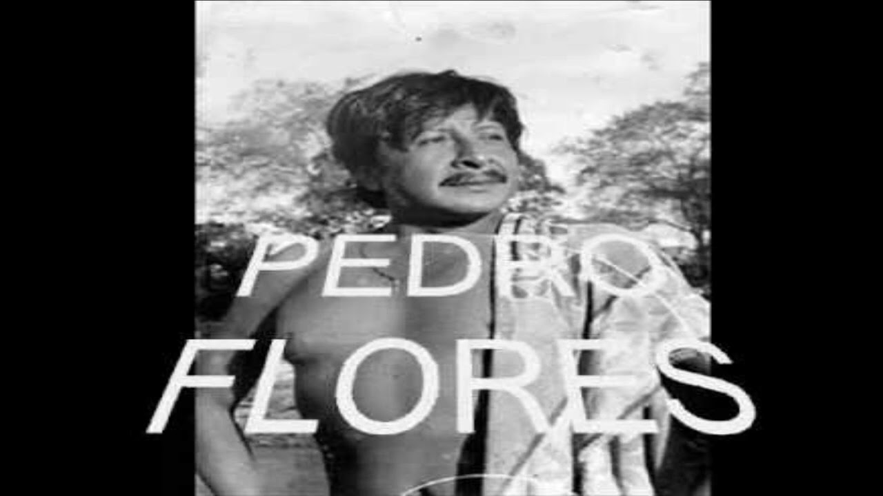 🇧🇴 DESDE SANTA CRUZ - PEDRO FLORES 🇧🇴 MUSICA CRUCEÑA BOLIVIANA TRADICIONAL CLASICA COSTUMBRISTA