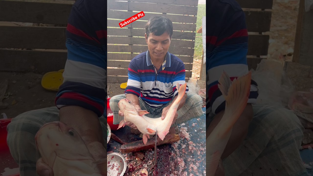 Amezig Pangas fish cutting vlog video 2026 ✅🐬✅ 