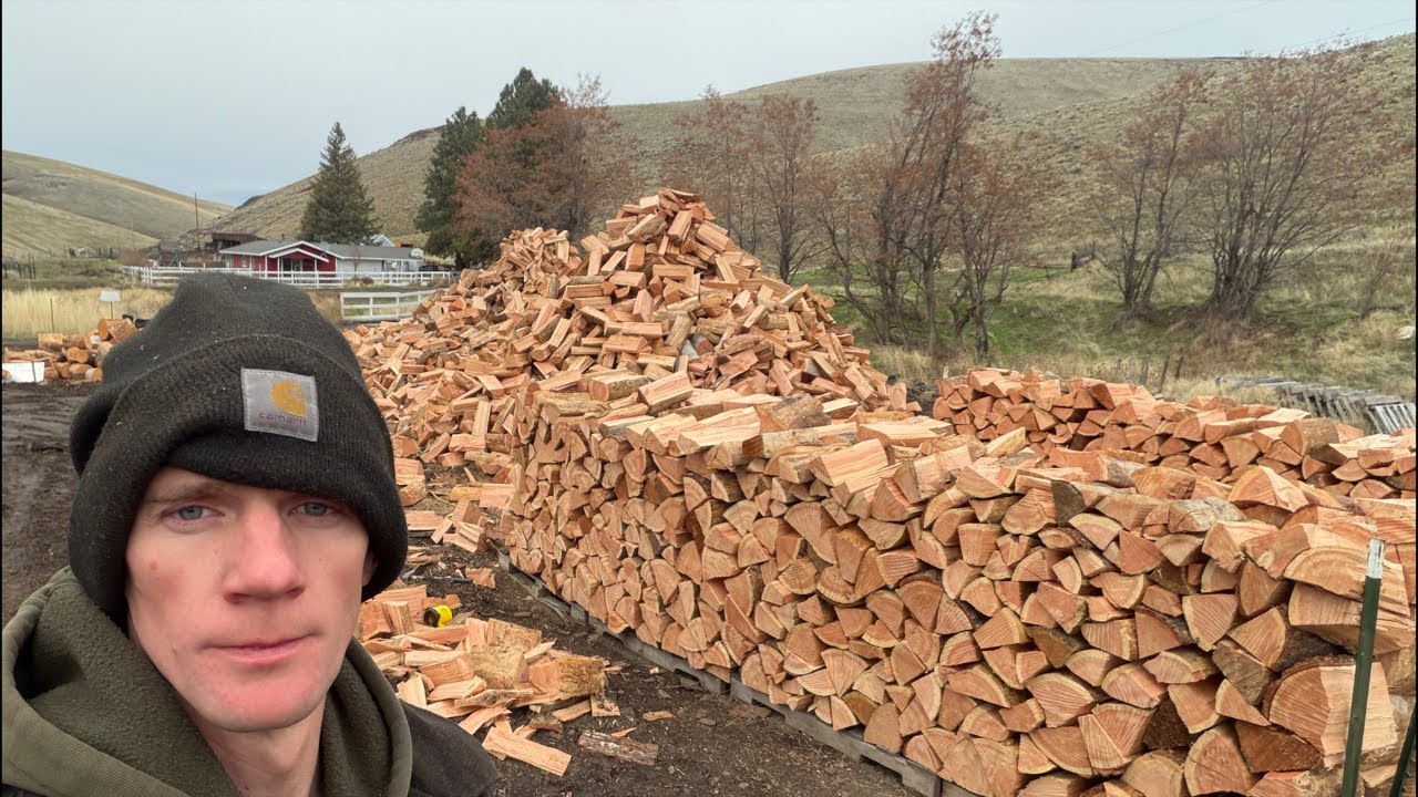 Going to stack 28 cord of 16 inch logs live ￼