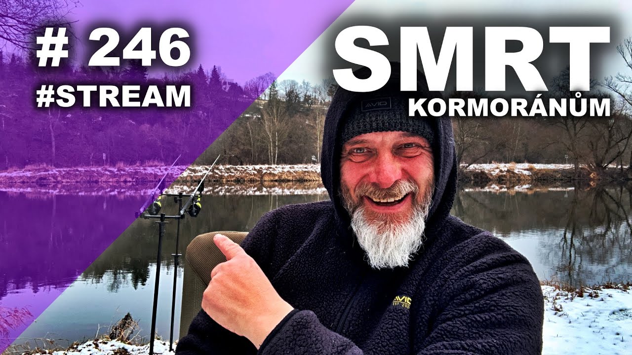 VLTAVA STREAM carp fishing lov kapra karpfen angeln #fishhobo #fishing #kaprarina
