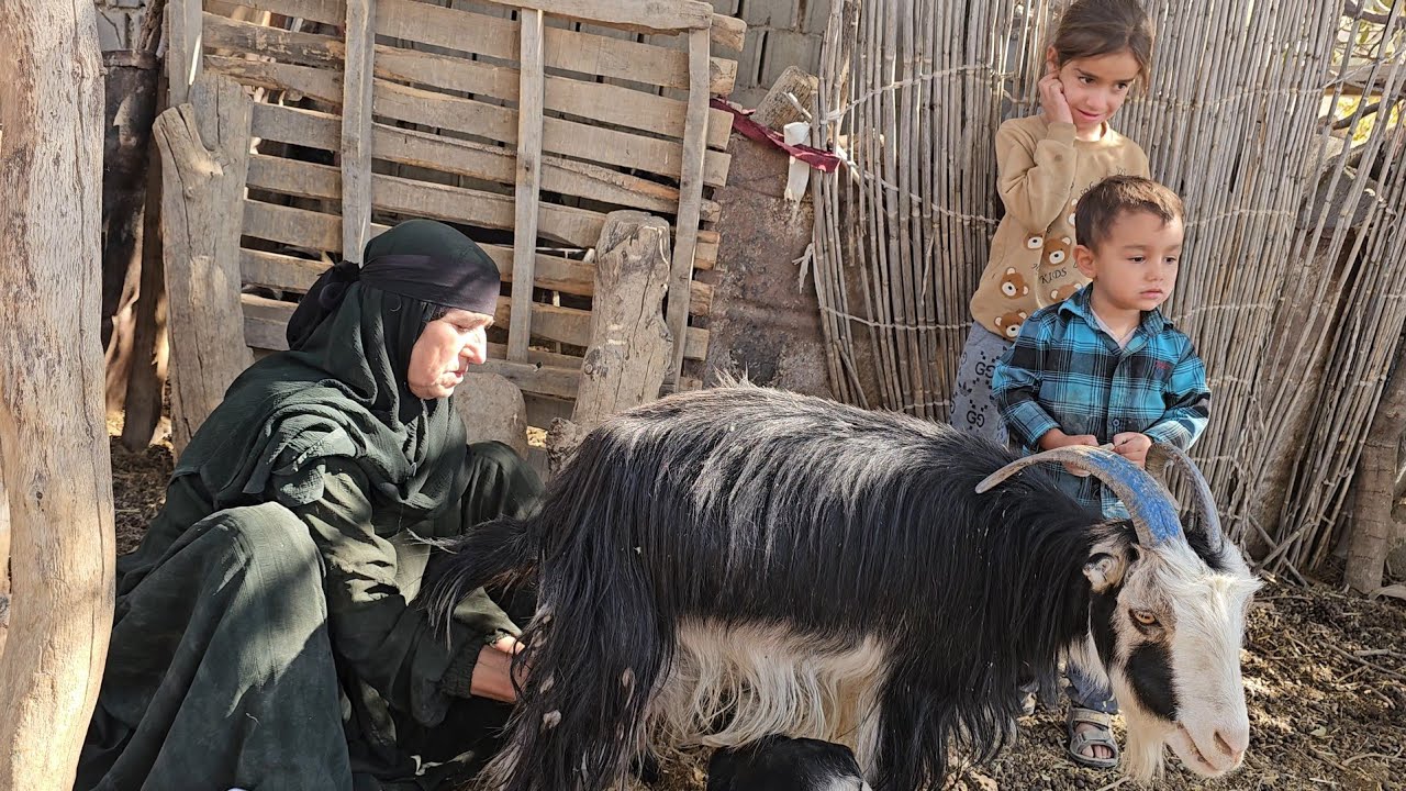 🐐 Rural Life Challenges | Mom Golshakar&rsquo;s Efforts, Goat Milking & Baby Feeding 🌾🥛