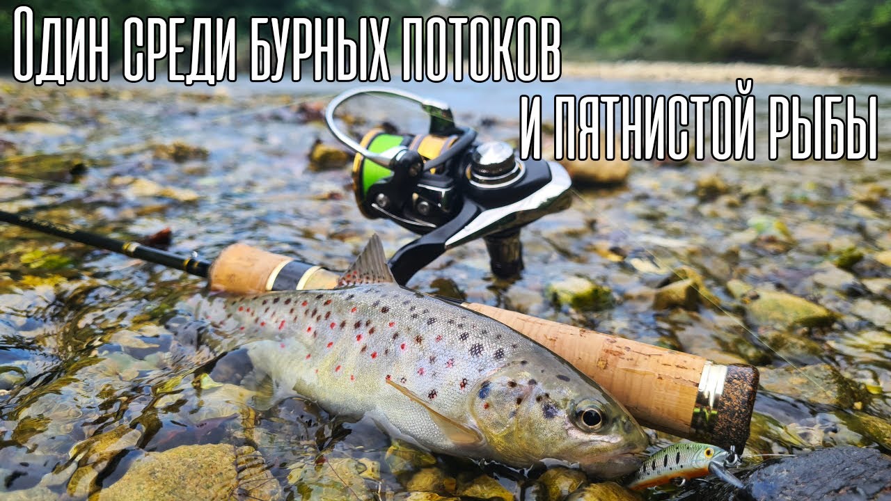 НЕ РЫБАЛКА, А СКАЗКА! Форель в горной реке
