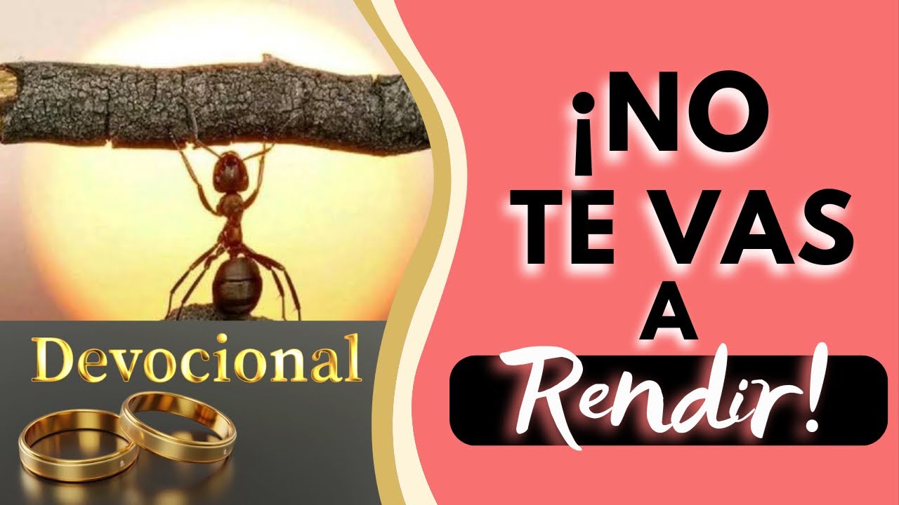 🟣¡No te vas a rendir! Ésta es una palabra poderosa: “EFATA”