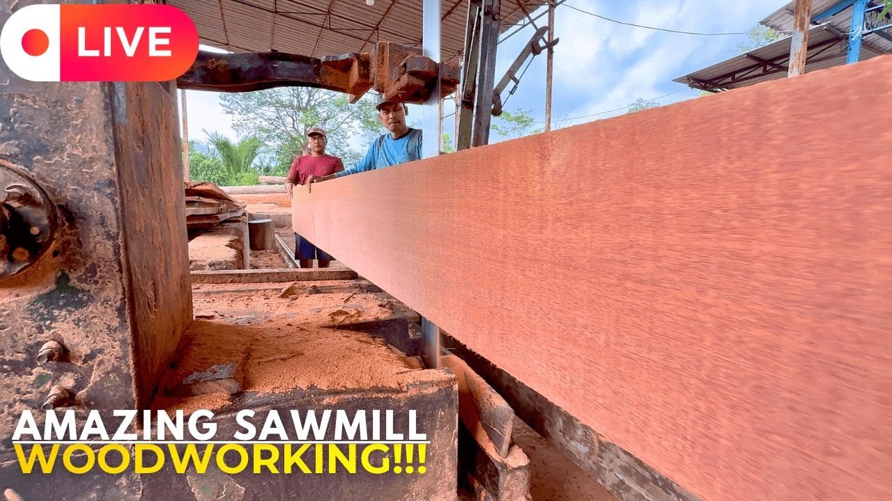 This Titan Timber Got Broken Down—Sawmill Woodworking ASMR LIVE!!!