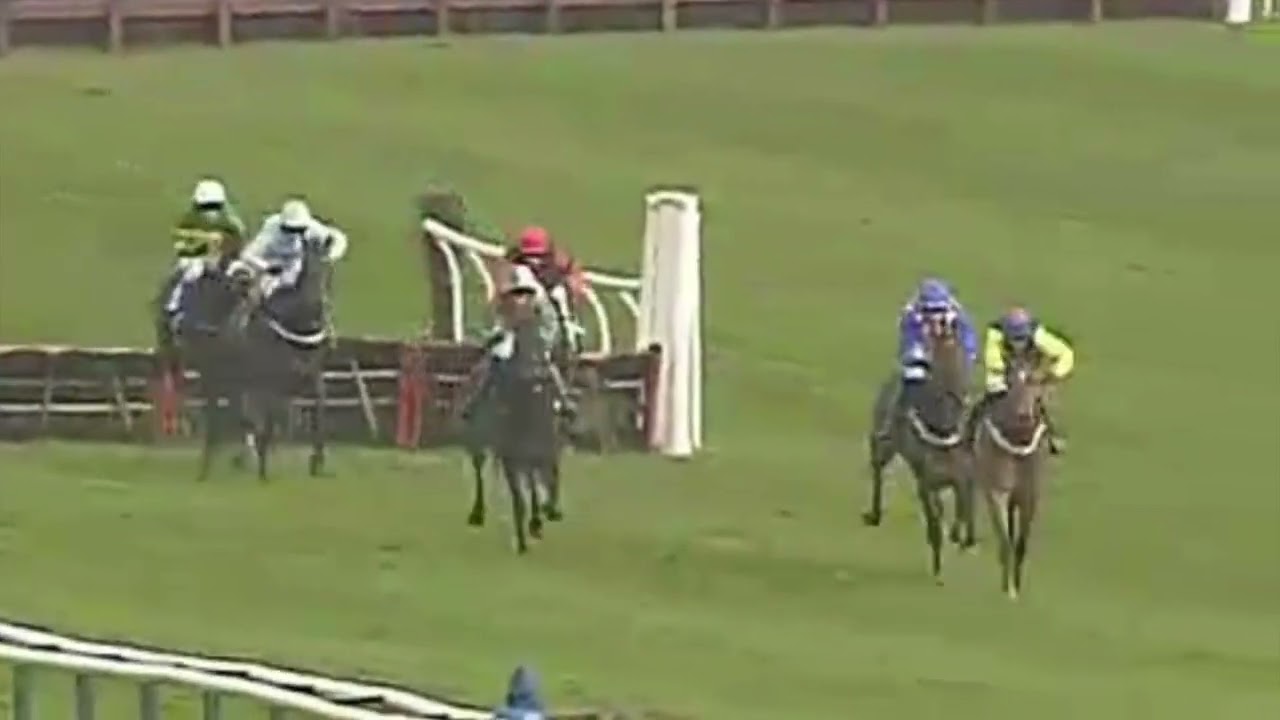 Horse Racing Deaths 79 & 80 - Percutant & Freschezza at Ayr Racecourse
