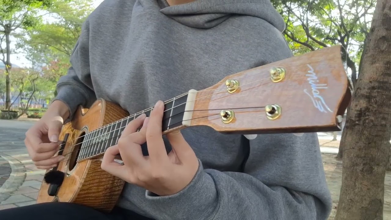Moon River, If, Make You Feel My Love, Nothing's Gonna Change My Love For You / Ukulele Fingerstyle 
