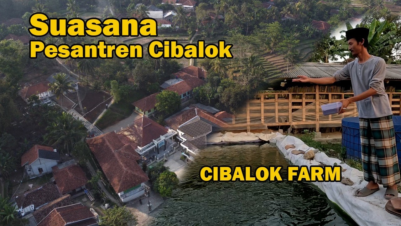 Suasana Pesantren Cibalok, Melihat Pertenakan Puyuh, Kambing dan Ikan Lele