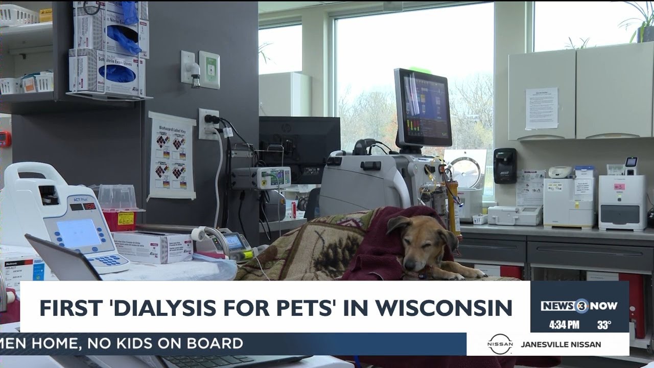 Madison veterinary is first to offer "dialysis for pets" in Wisconsin