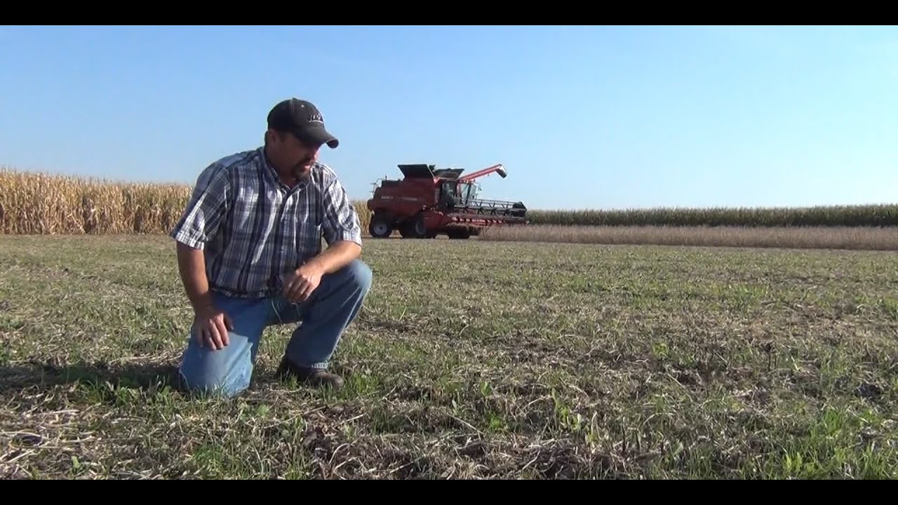 Precision Agriculture - Cover Crop Interseeding Study- Beck's Hybrids Practical Farm Research (PFR&reg;)